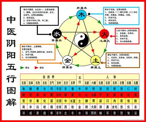 金生木|一分钟记住，五行相生相克。